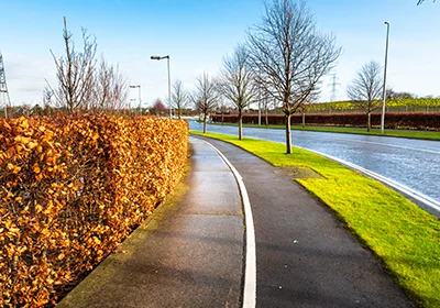 Réseau public apaisé facilitant une mobilité diversifiée